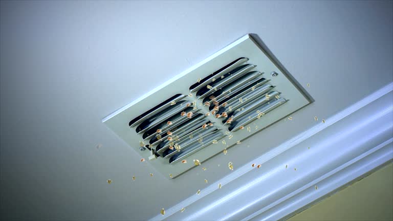Best Commercial Air Duct Cleaning  in Venice, FL