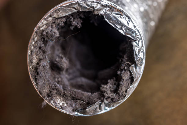 Best Ductwork Cleaning Services  in Venice, FL