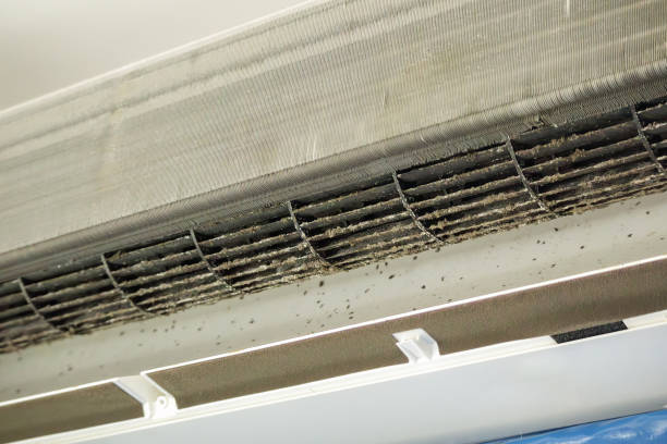 Best HVAC System Cleaning  in Venice, FL